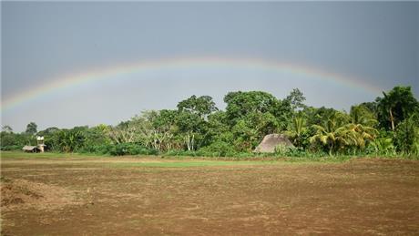 Group Banner Picture